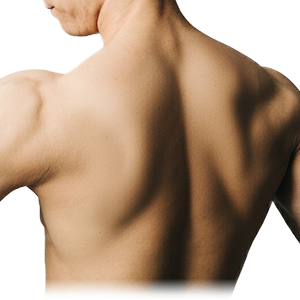 背中がしっかり洗えるロングサイズ